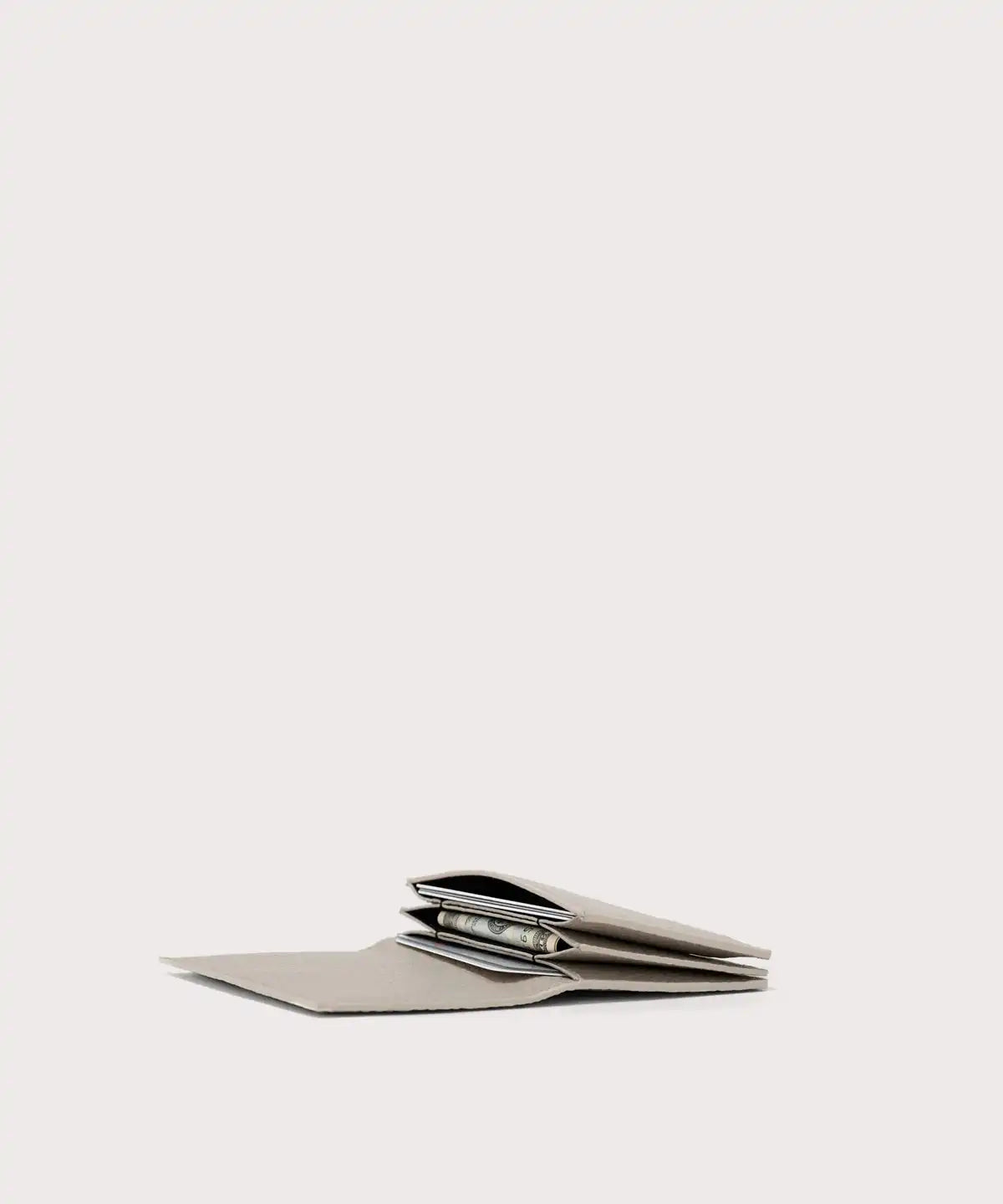 Accordion Card Case