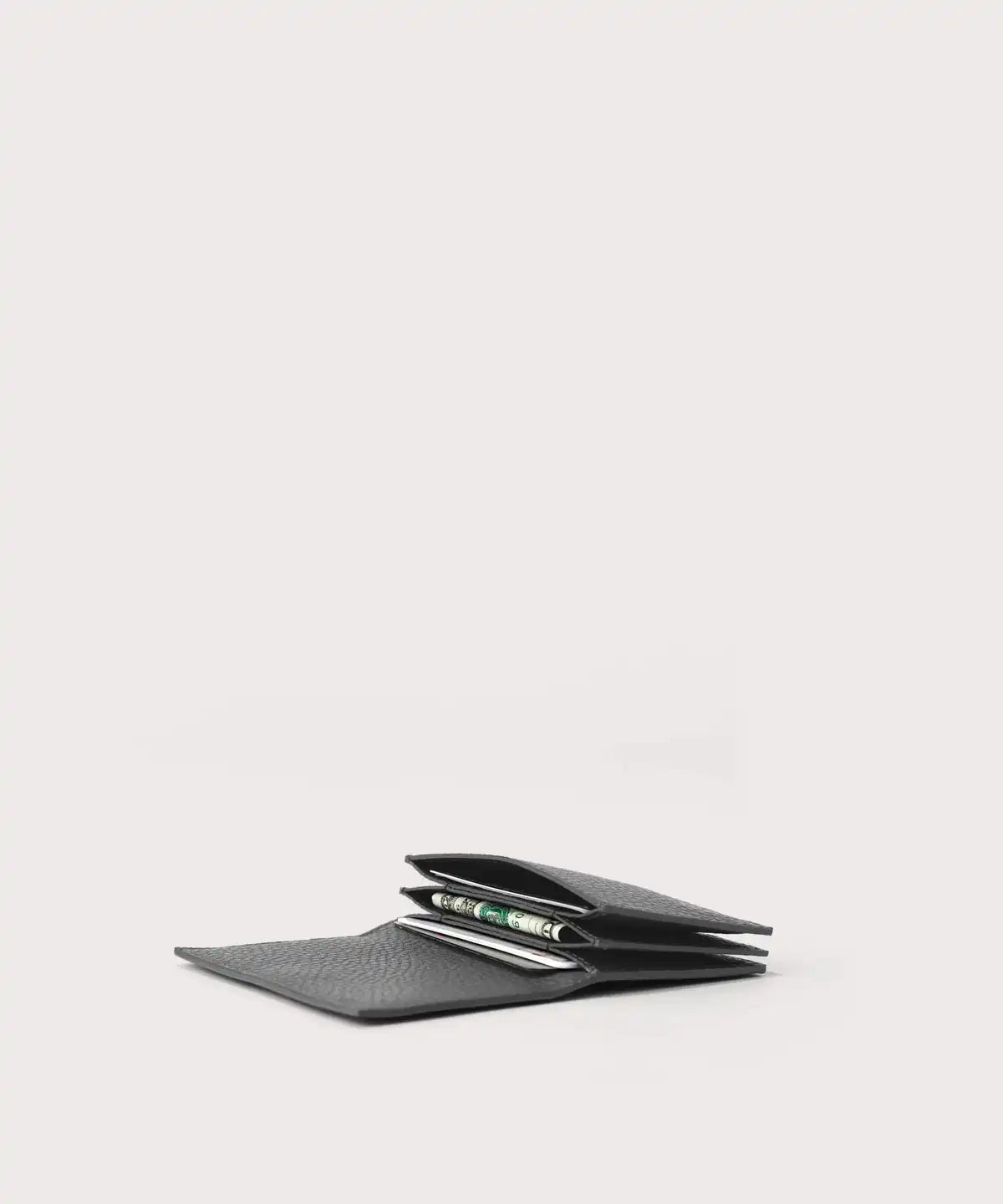 Accordion Card Case