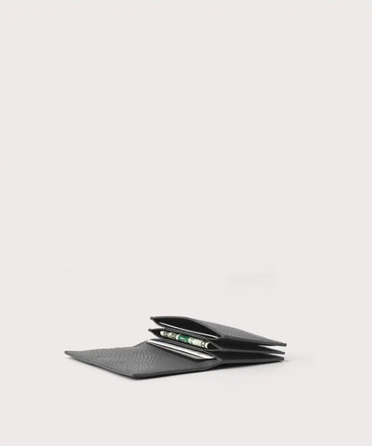 Accordion Card Case
