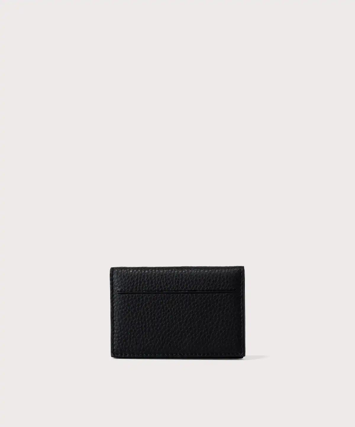 Accordion Card Case