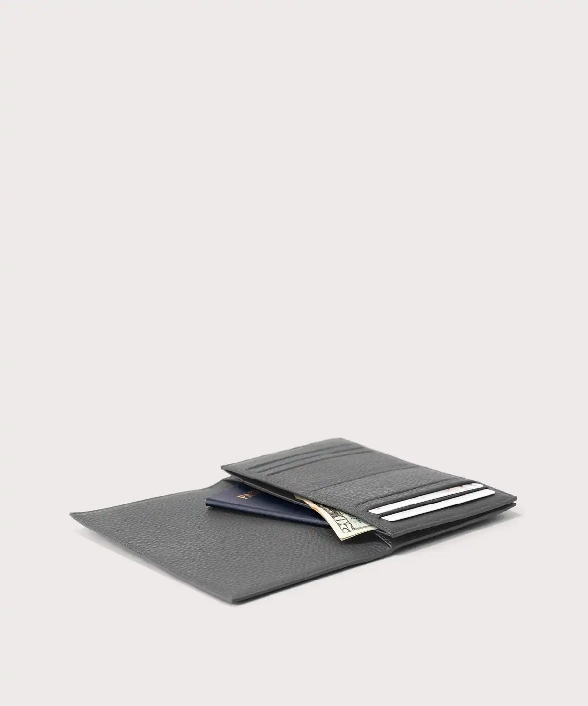 Accordion Travel Wallet