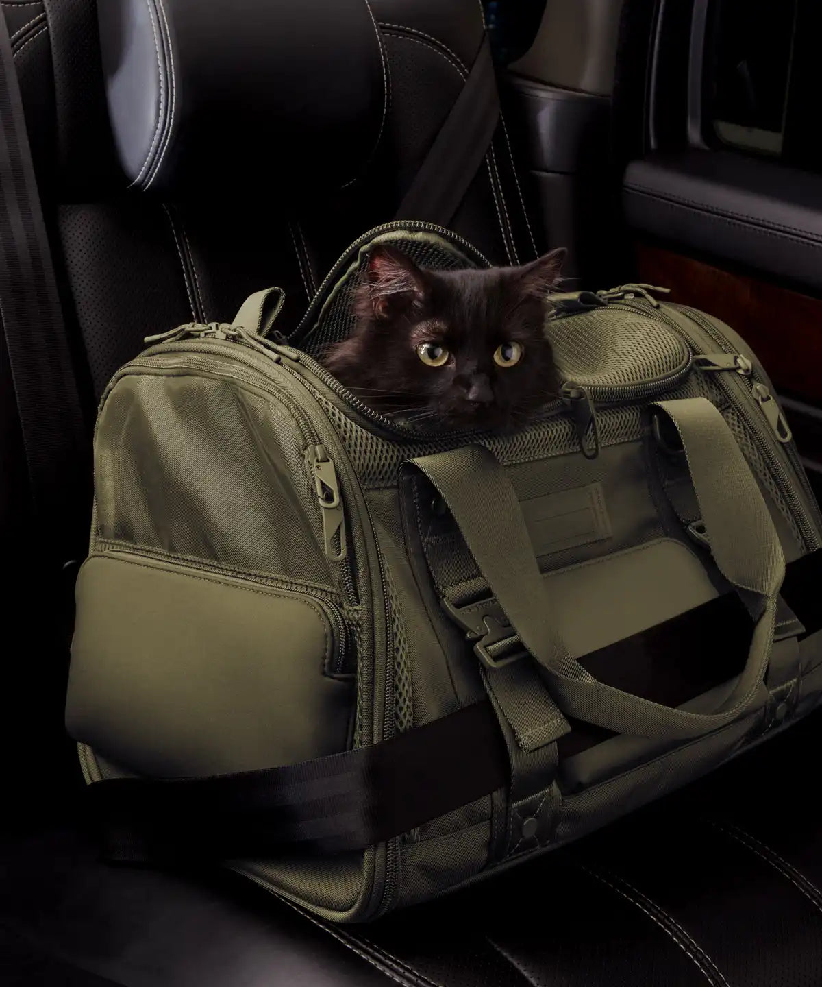 Kyoto Pet Carrier