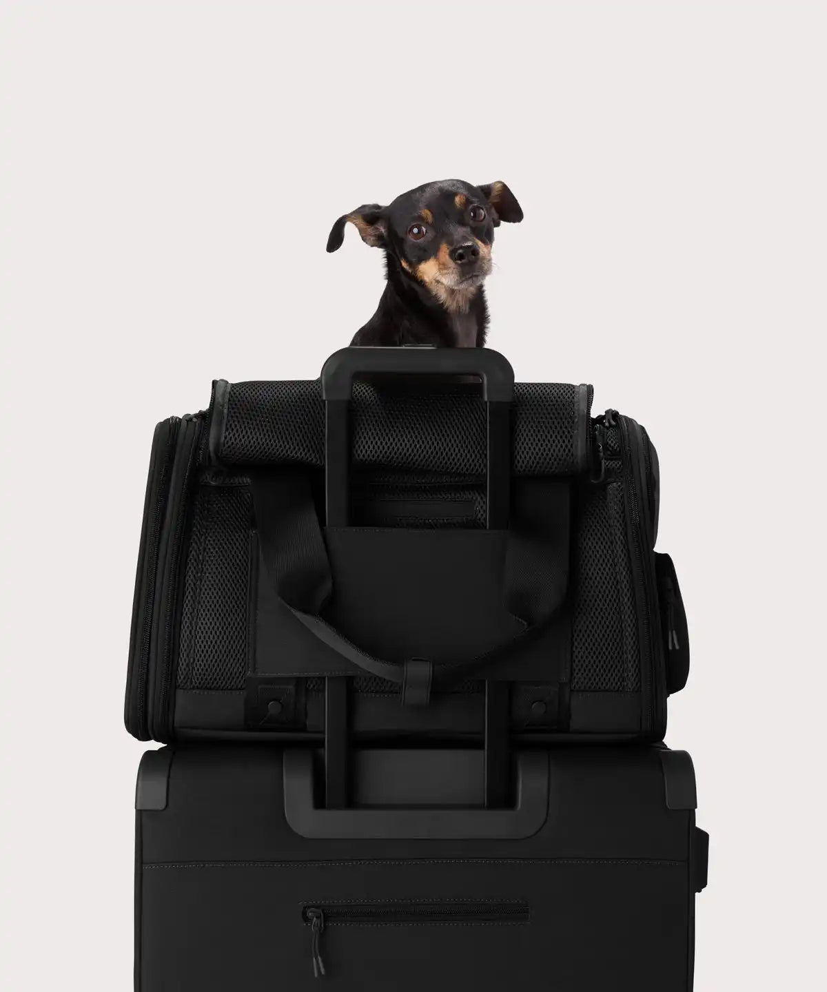 Kyoto Pet Carrier