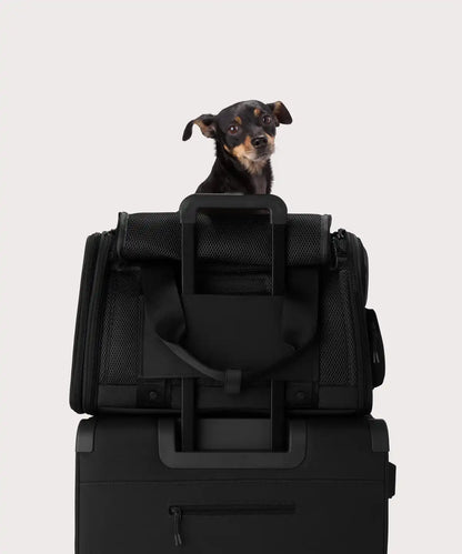 Kyoto Pet Carrier