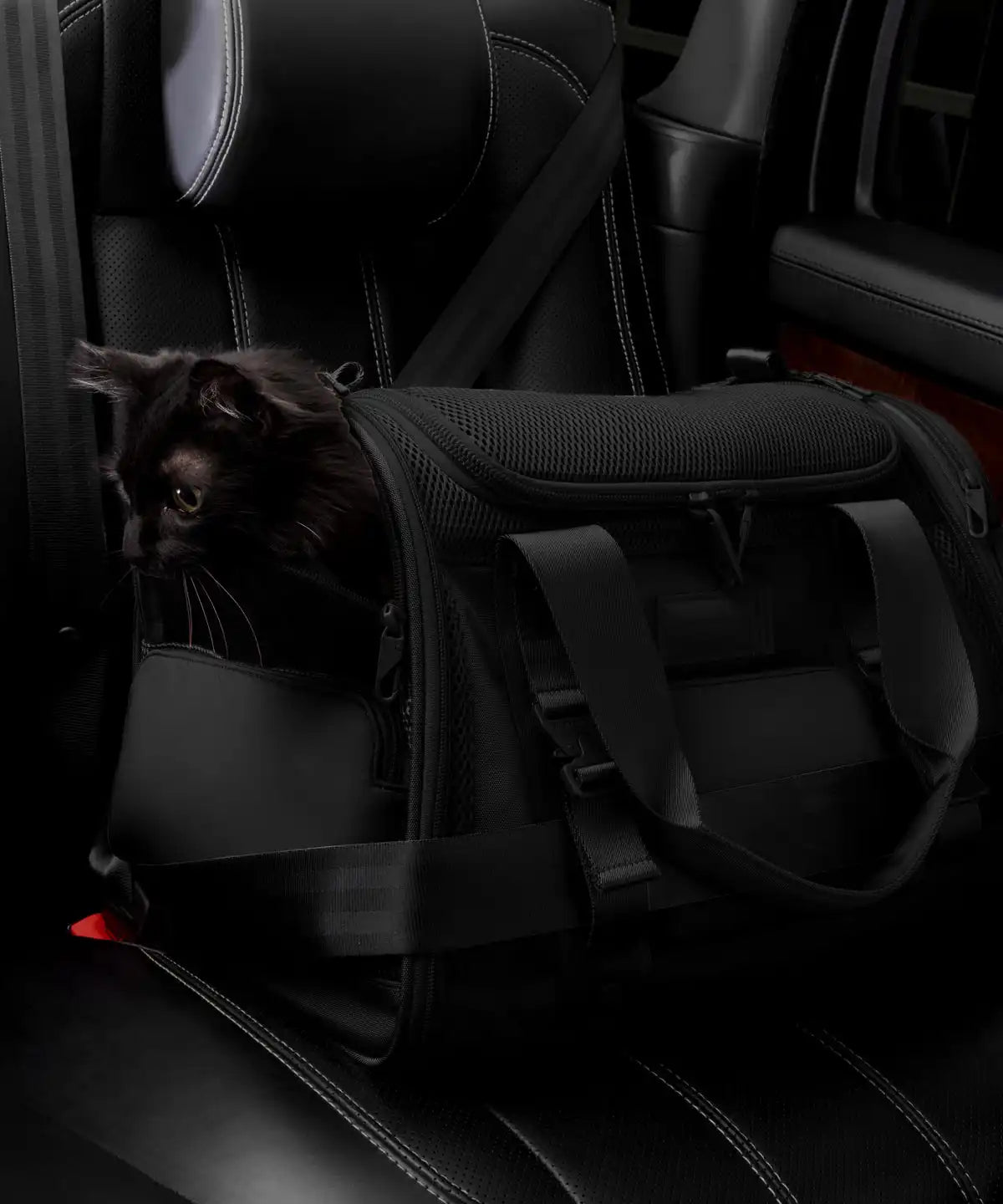 Kyoto Pet Carrier