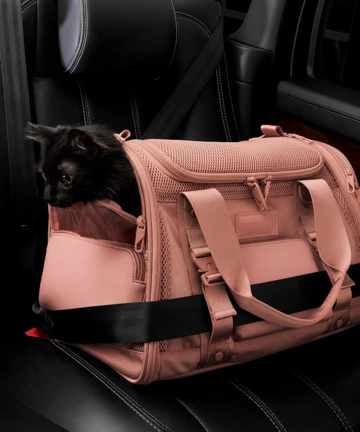 Kyoto Pet Carrier