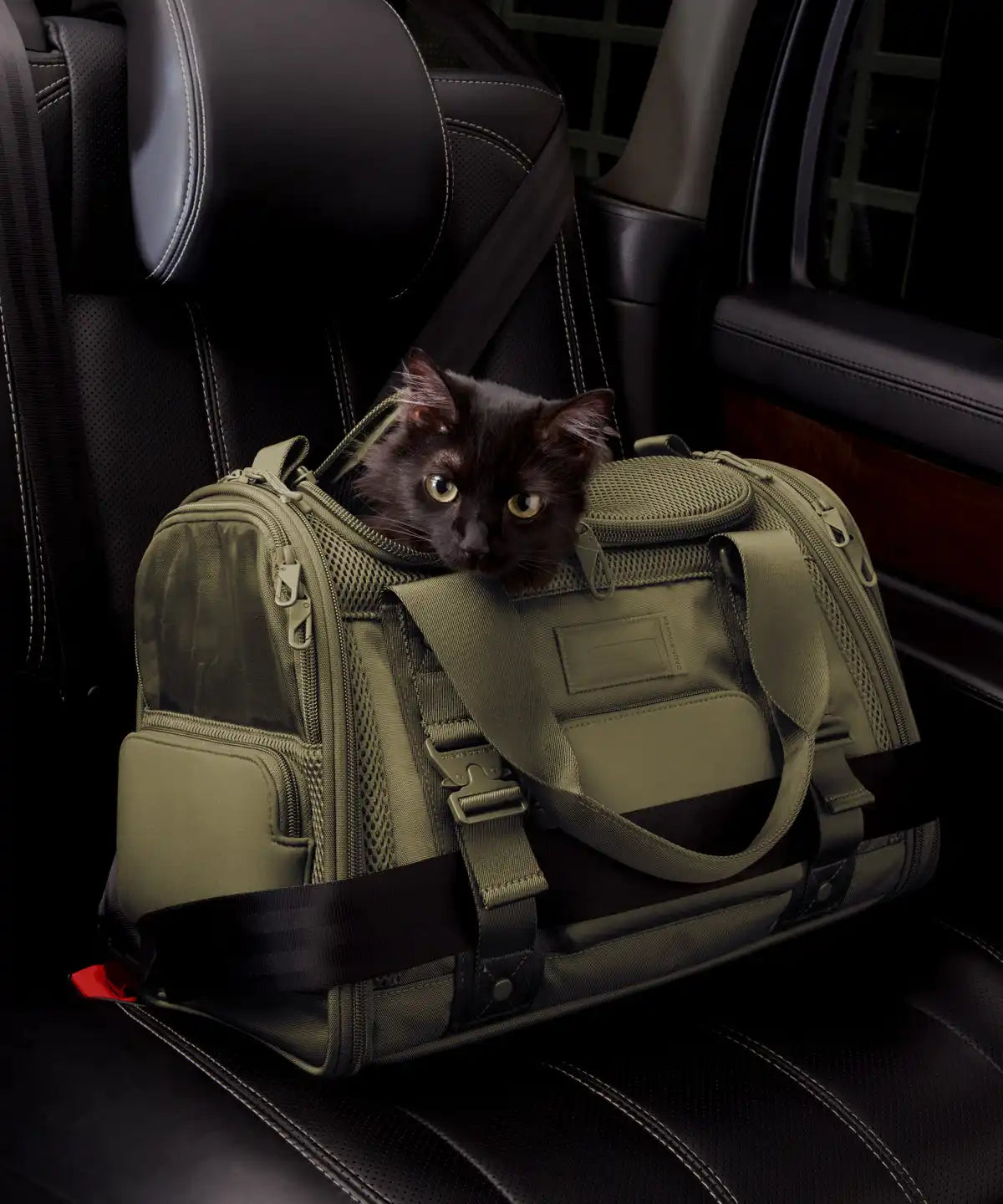 Kyoto Pet Carrier
