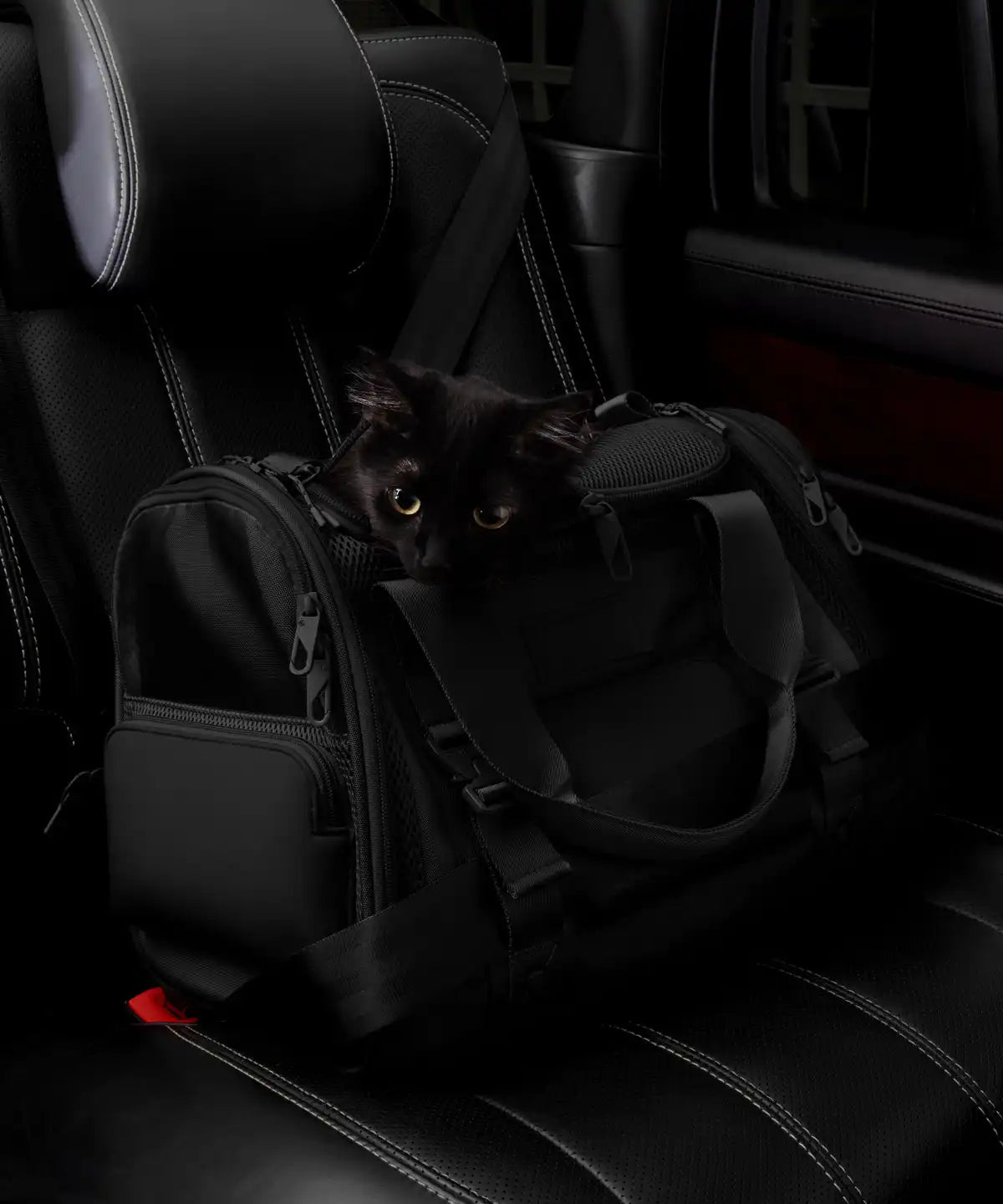 Kyoto Pet Carrier