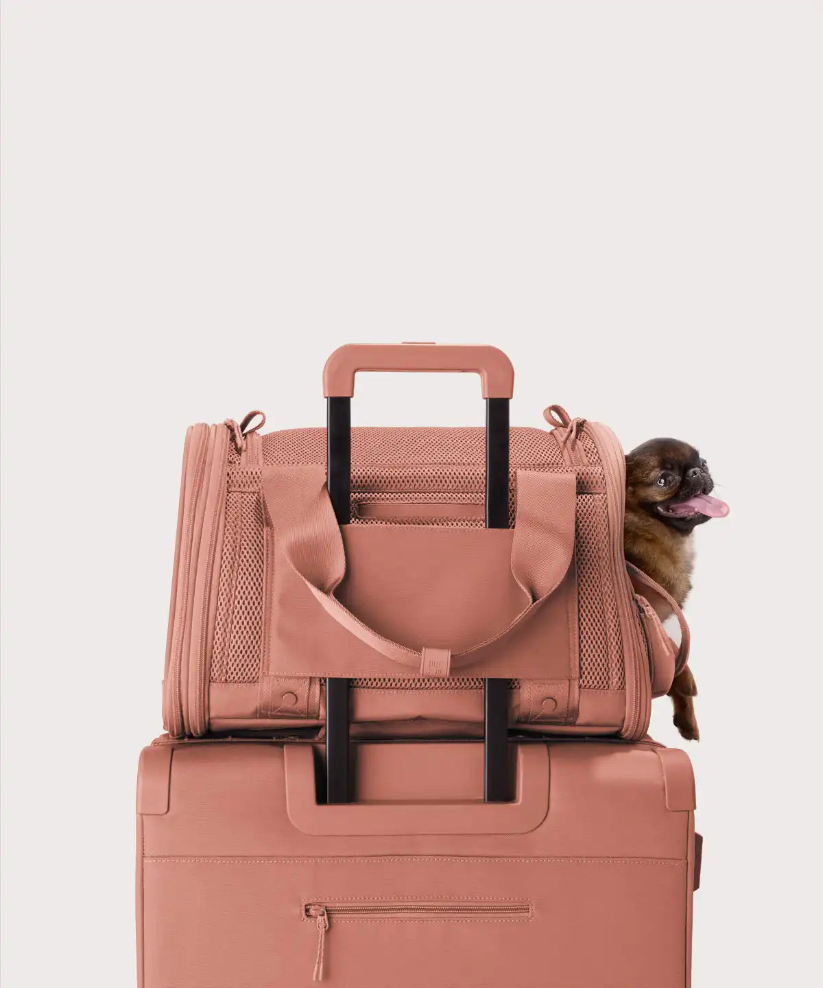 Kyoto Pet Carrier