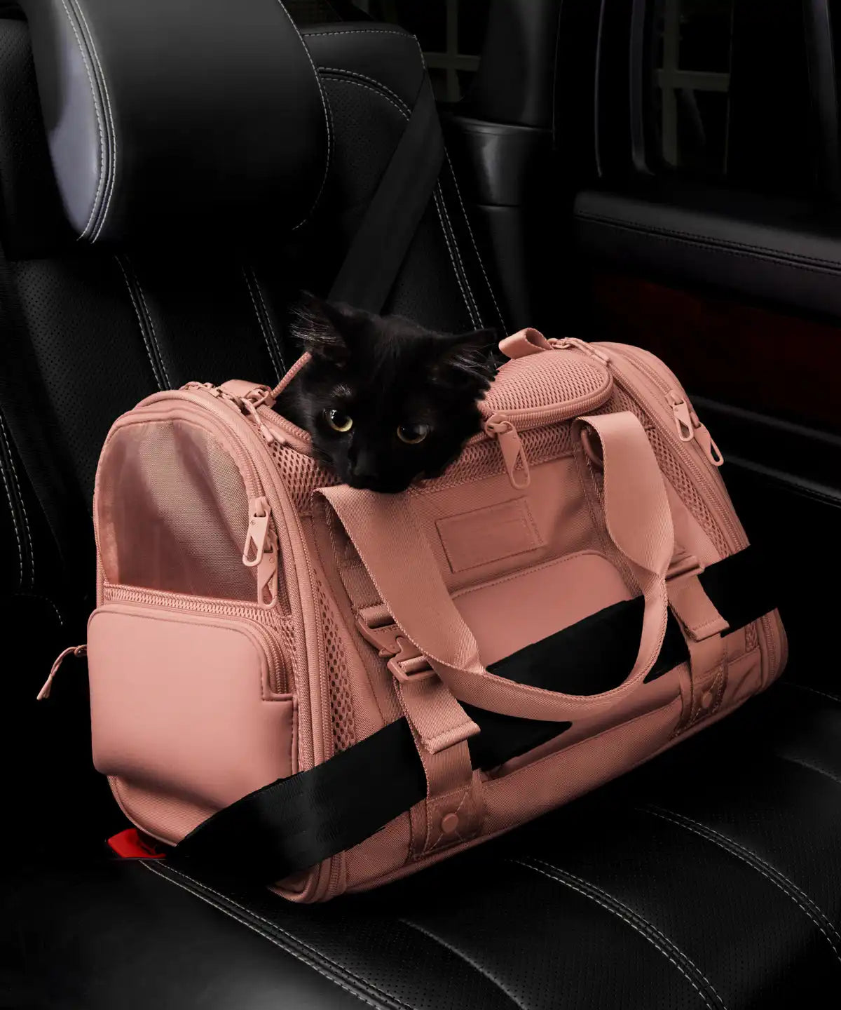 Kyoto Pet Carrier